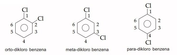 Contoh Tata Nama Benzena Disubstitusi