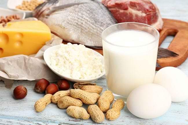 Berbagai Makanan yang Mengandung Protein Tinggi