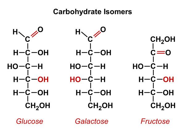 Isomer Karbohidrat