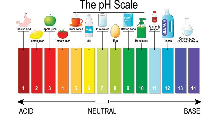 Skala pH dan Warnanya