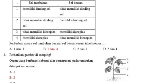 pembahasan soal PAT IPA kelas 7 | MateriKimia