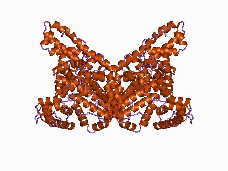 Struktur Albumin