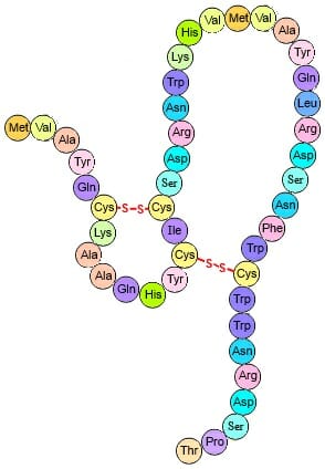 Struktur Protein Tersier
