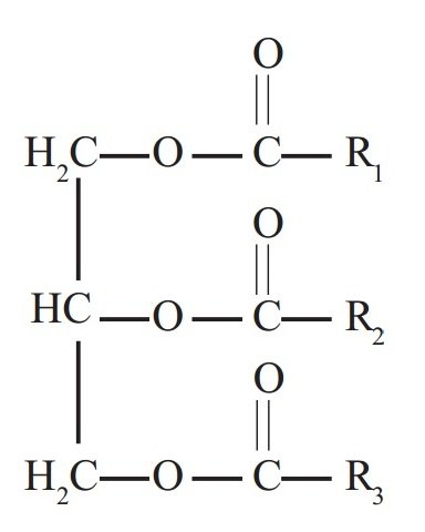 Rumus Struktur Lemak