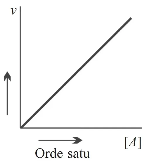 Grafik Orde Reaksi Satu