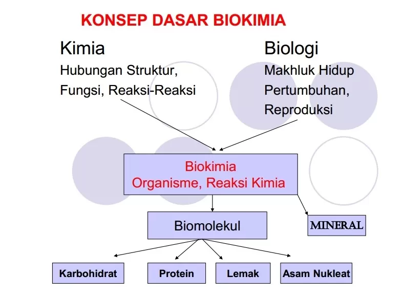 Konsep Dasar Biokimia