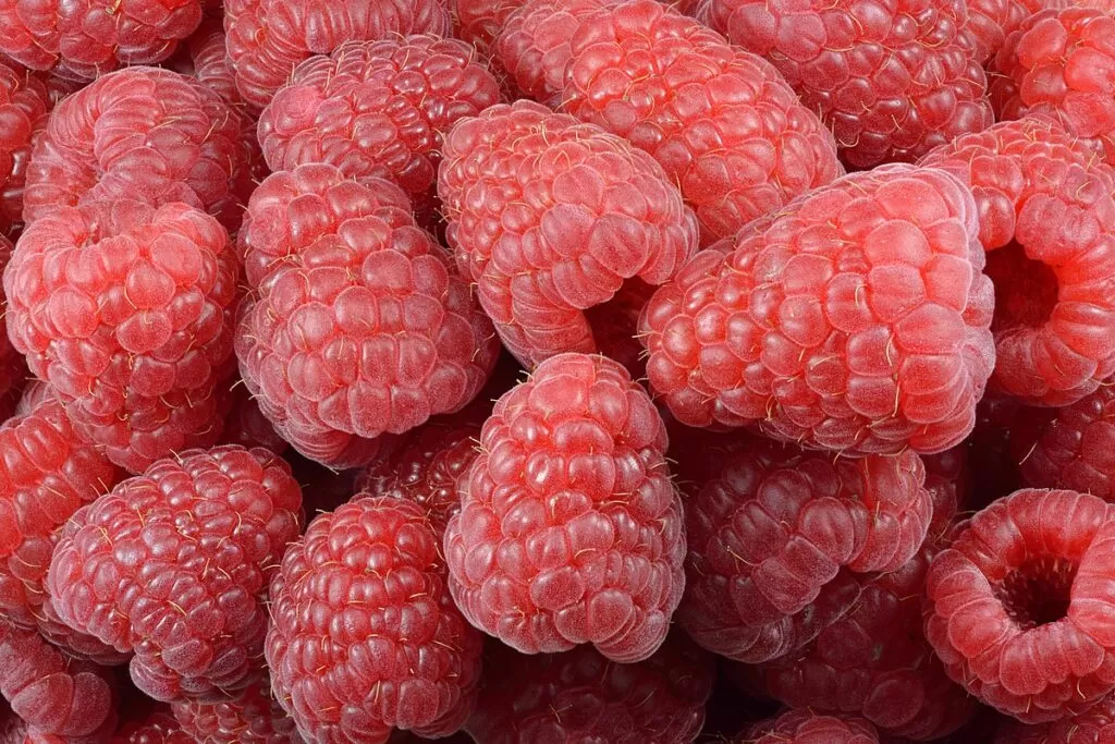 Gambar Buah Raspberry