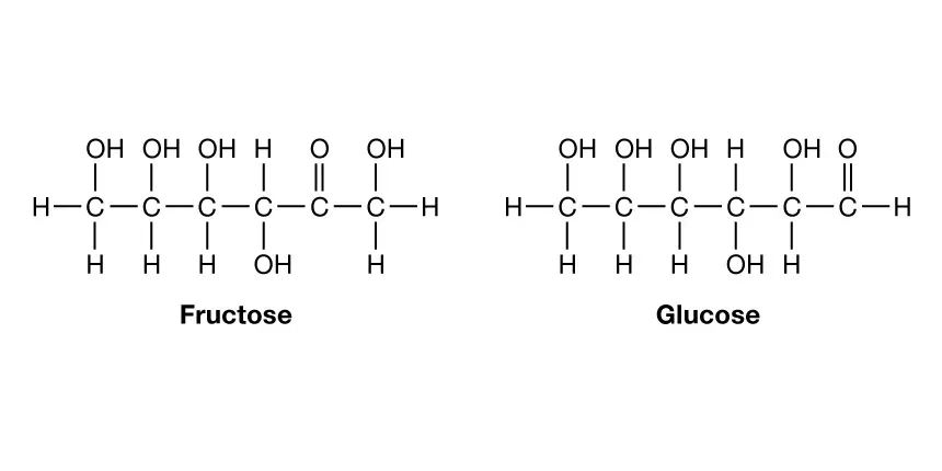 Struktur Kimia Fruktosa dan Glukosa