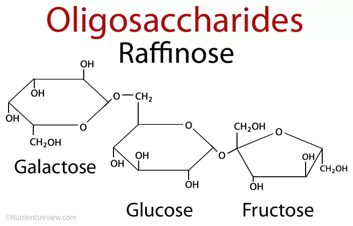 Struktur Kimia Raffinose