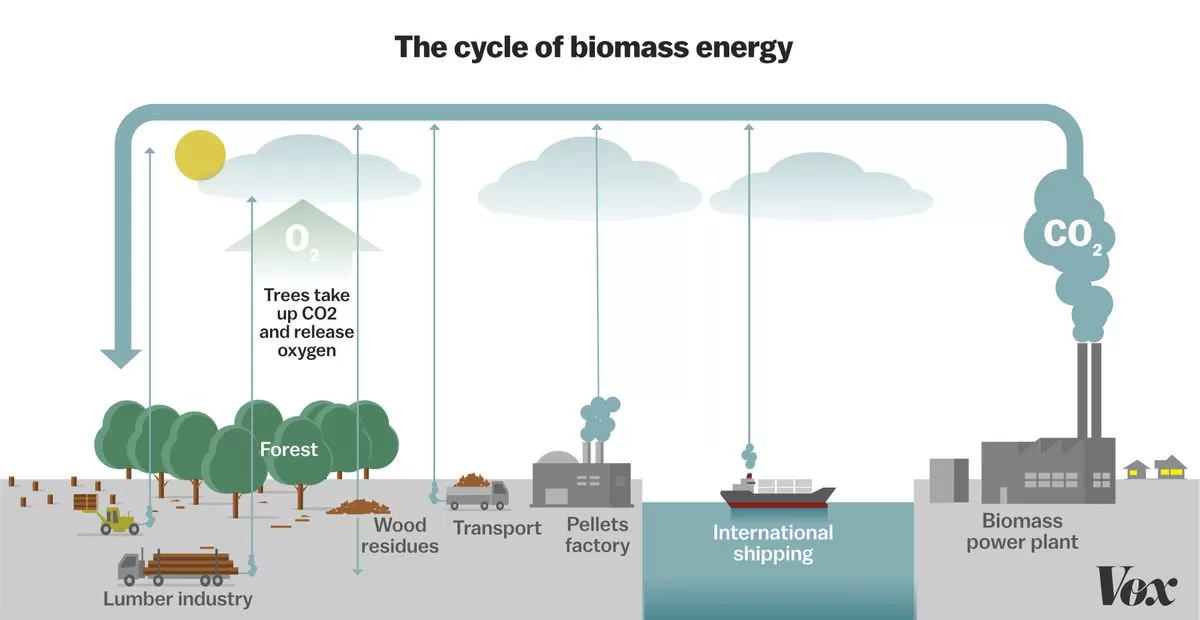 Energi Biomassa