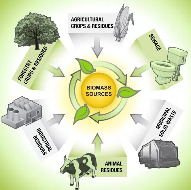 Sumber-Sumber Energi Biomassa