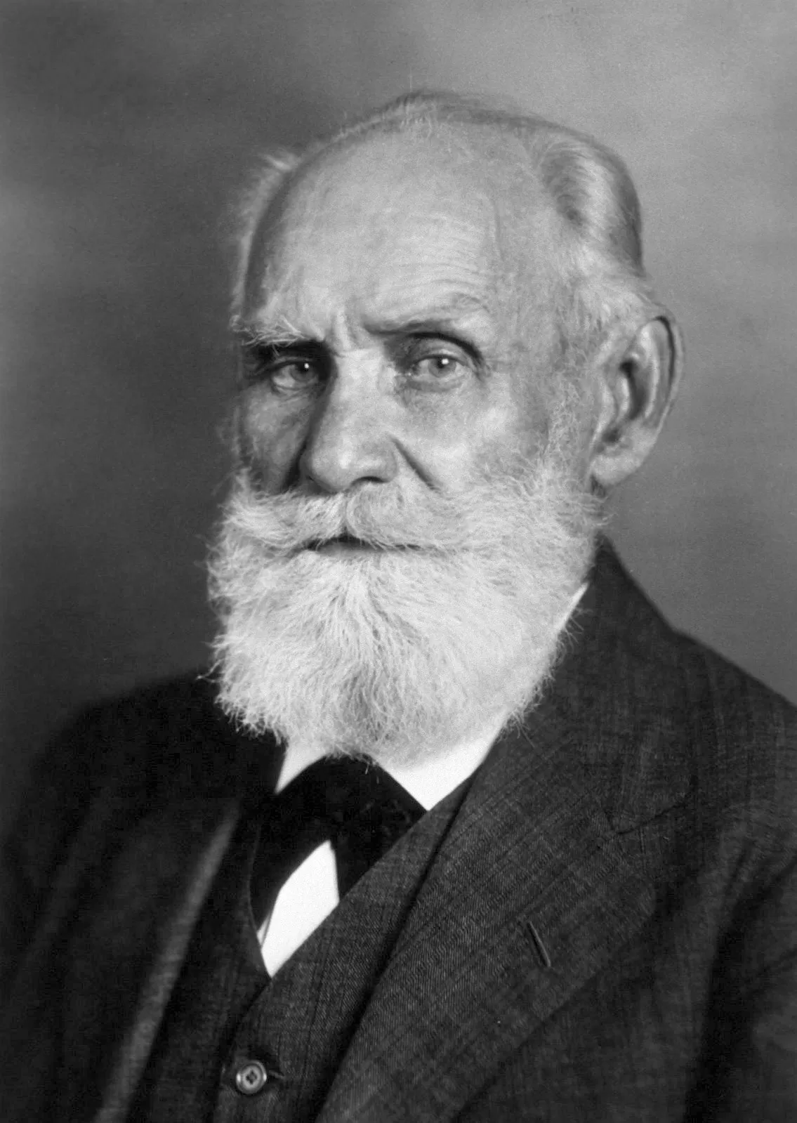 Portrait Ivan Petrovich Pavlov