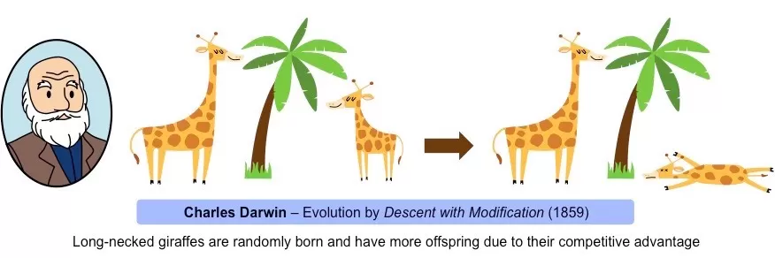 Teori Evolusi oleh Seleksi Alam