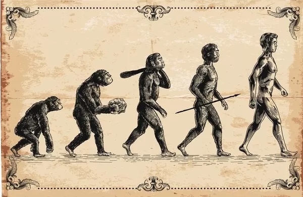 Teori evolusi manusia yang sering dianggap kontroversial