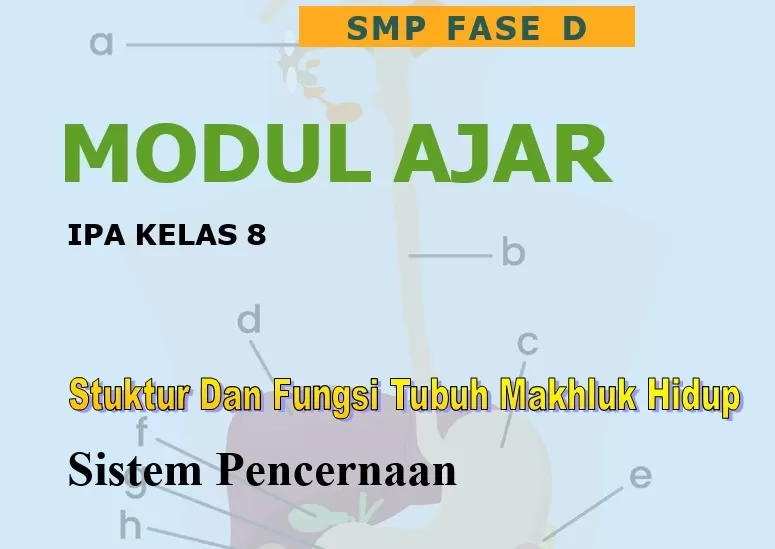 Modul Ajar IPA Kelas 8 Kurikulum Merdeka Sistem Pencernaan Manusia